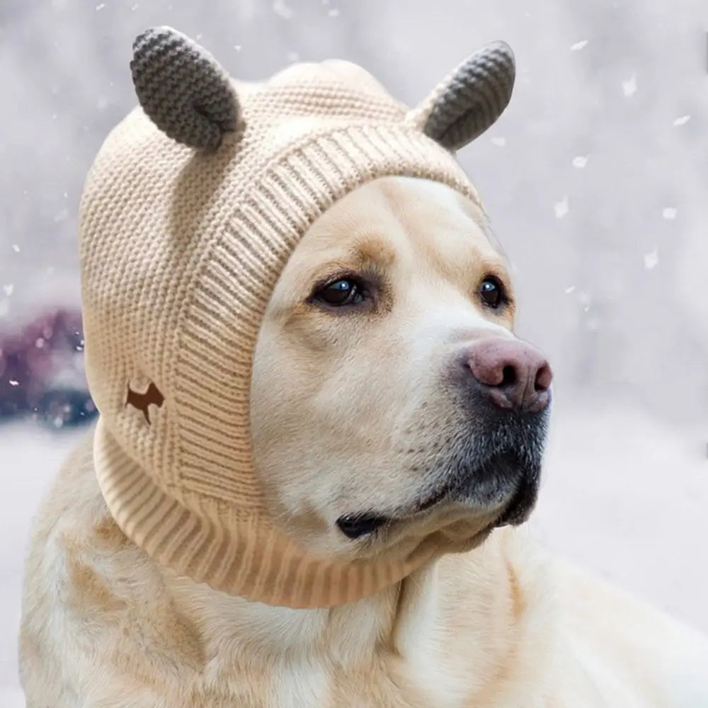 WarmWag Hat