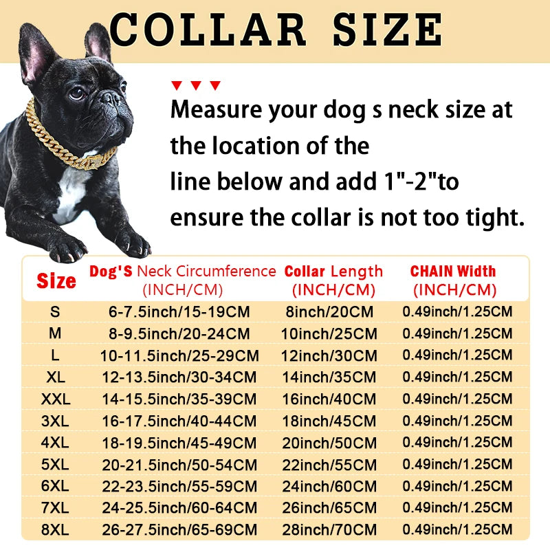 Dazzle Dog Collar