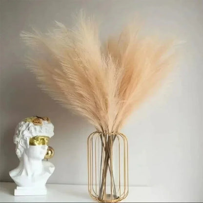 Fluffy Pompous Grass Stems