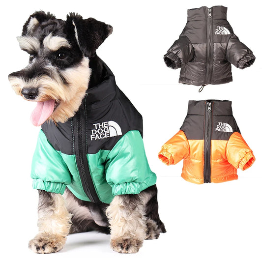 Chic Canine Coat