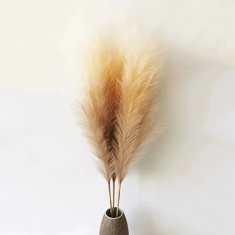 Fluffy Pompous Grass Stems